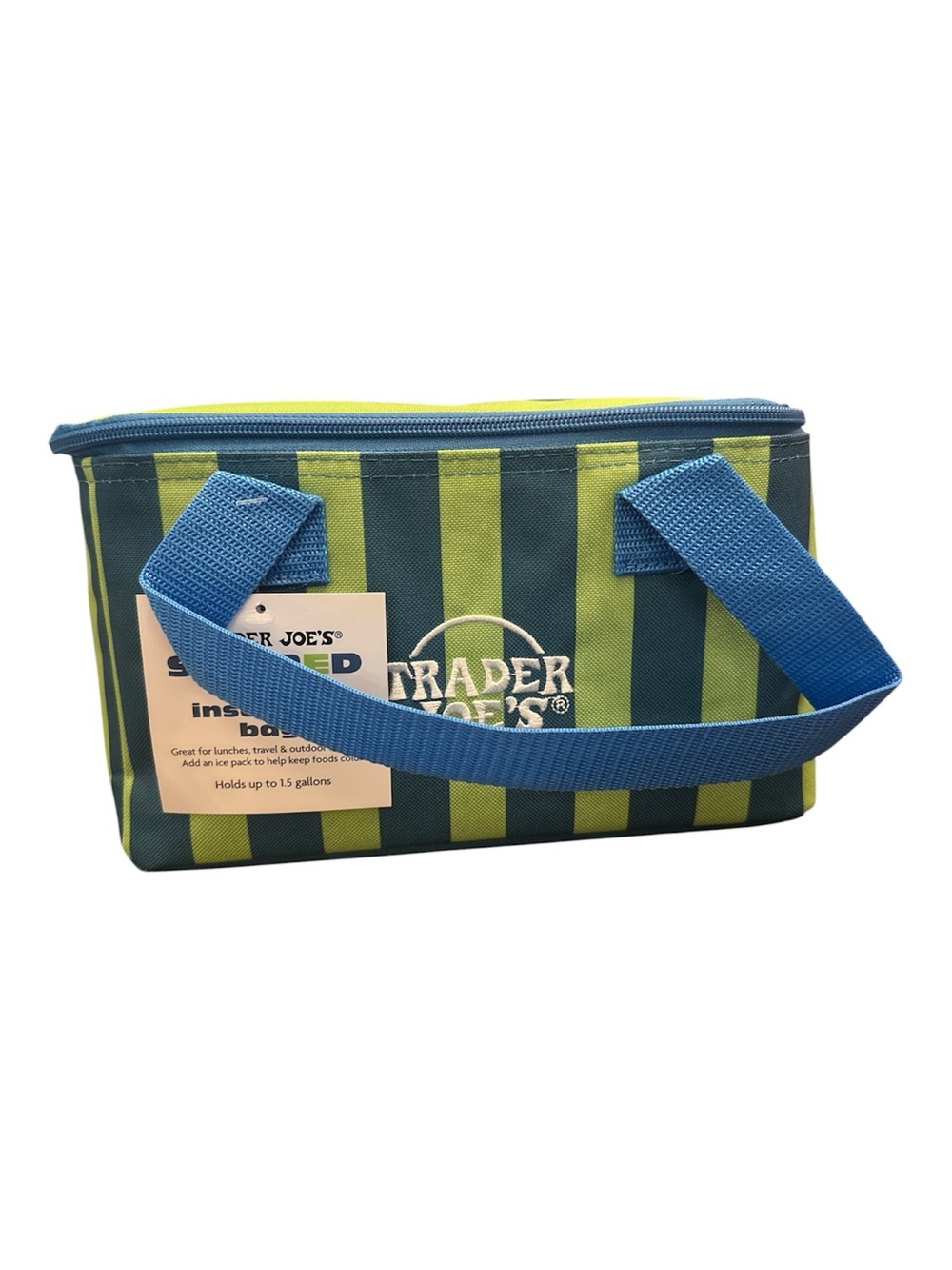 Green & Navy Striped Insulated Lunch or Cosmetic Bag